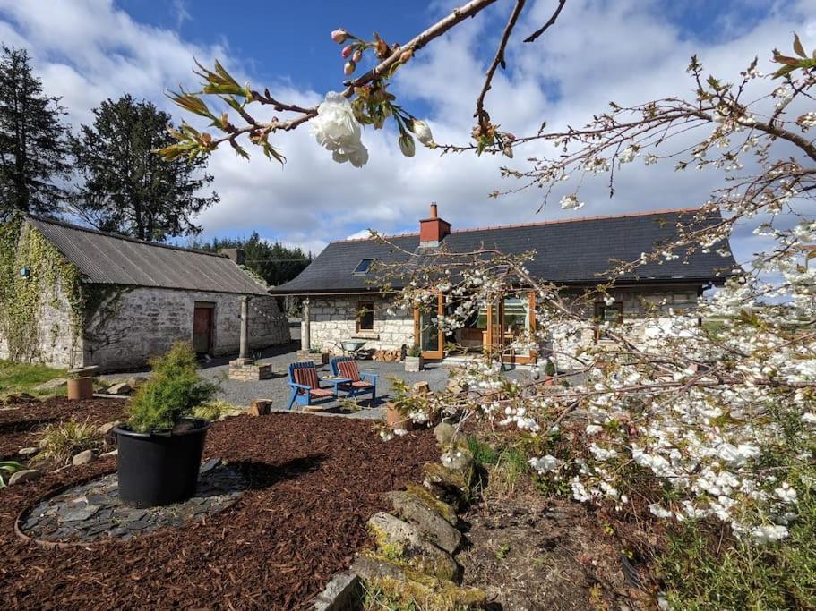 Secluded Private Cottage Hot-Tub, Sauna & Fire-Pit Carrick on Shannon Exterior foto