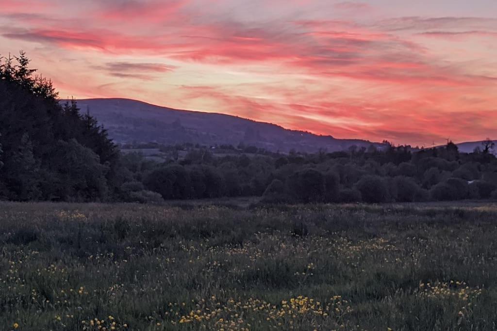 Secluded Private Cottage Hot-Tub, Sauna & Fire-Pit Carrick on Shannon Exterior foto