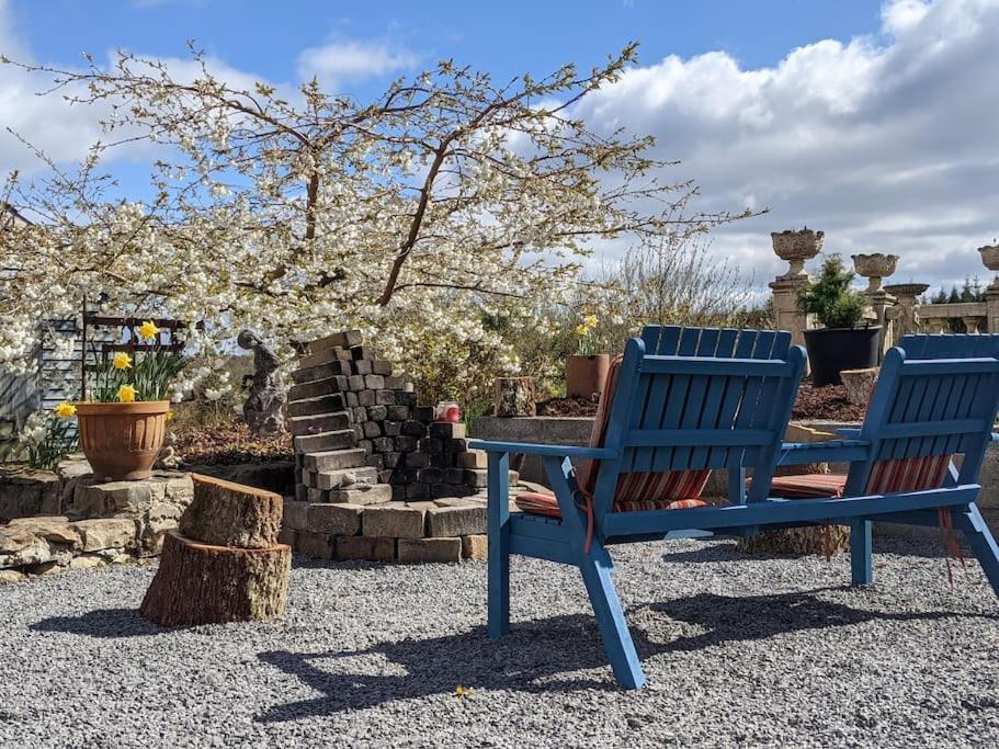 Secluded Private Cottage Hot-Tub, Sauna & Fire-Pit Carrick on Shannon Exterior foto